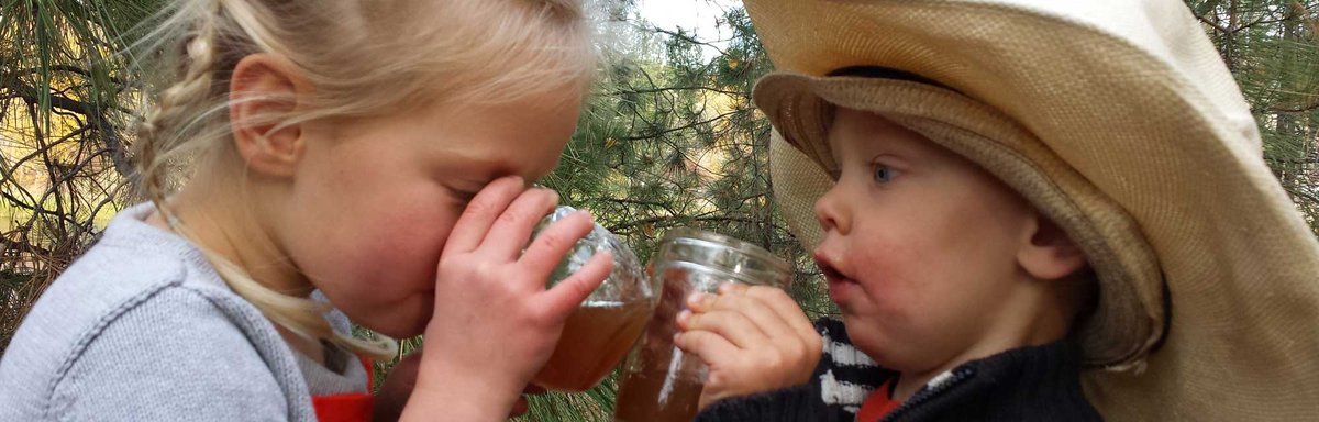 Fresh Mobile Juicing & Event Services for Health-Conscious Gatherings